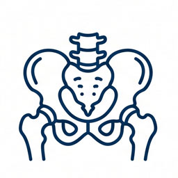 Fisioterapia de cadera y pelvis