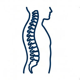 Fisioterapia de espalda