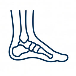 Fisioterapia de tobillo y pie